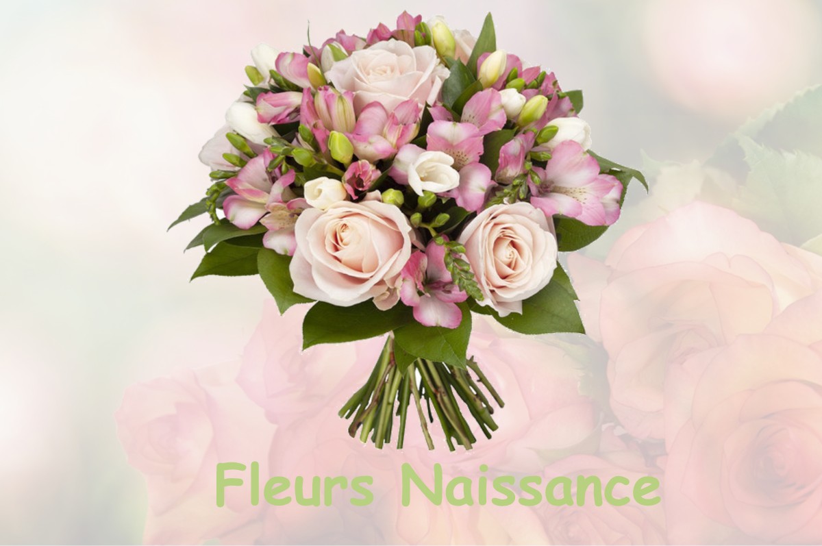 fleurs naissance LOUSSOUS-DEBAT